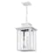 Quoizel Wakefield Outdoor Hanging Lantern WKF1911W - alternate 6